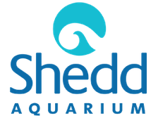 Shedd Aquarium Promo Codes